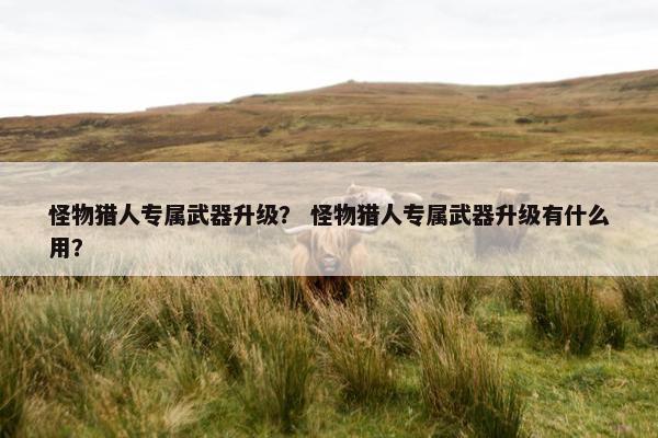 怪物猎人专属武器升级？ 怪物猎人专属武器升级有什么用？