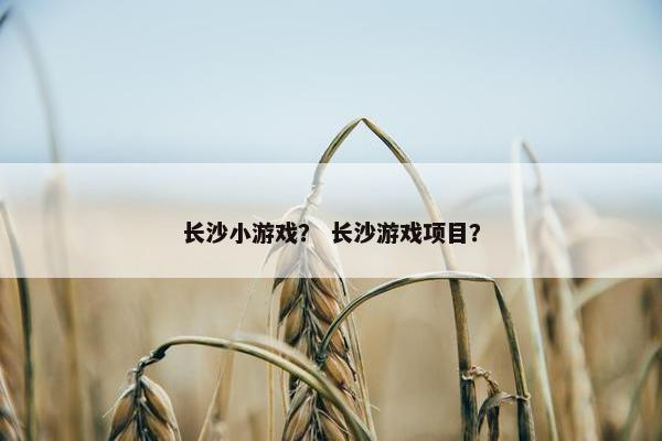 长沙小游戏？ 长沙游戏项目？