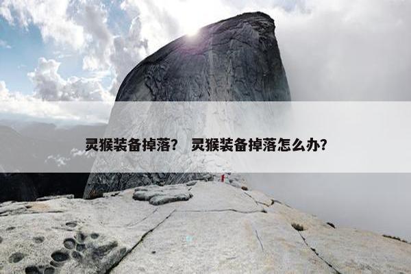 灵猴装备掉落？ 灵猴装备掉落怎么办？