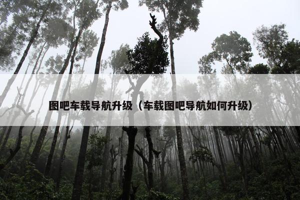图吧车载导航升级（车载图吧导航如何升级）