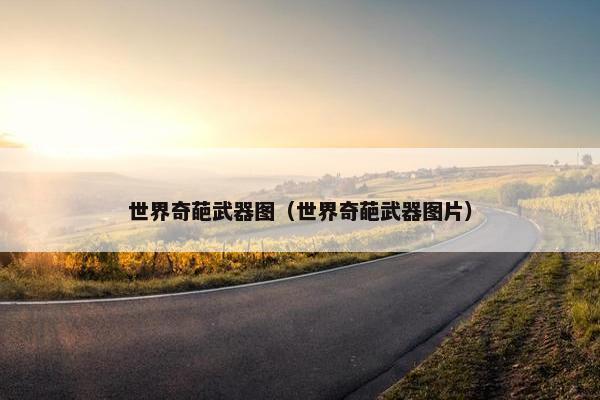 世界奇葩武器图（世界奇葩武器图片）