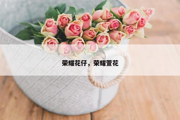 荣耀花仔，荣耀萱花