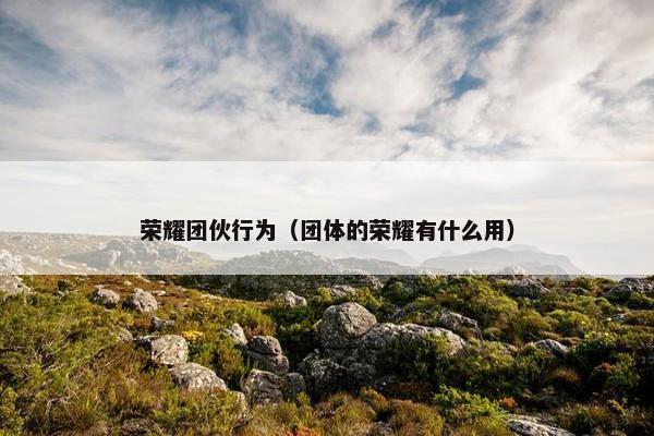 荣耀团伙行为（团体的荣耀有什么用）