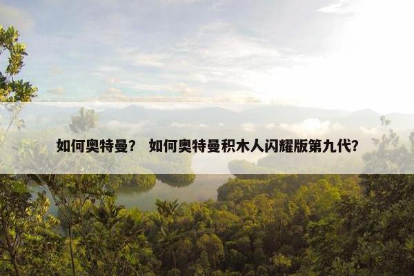 如何奥特曼？ 如何奥特曼积木人闪耀版第九代？