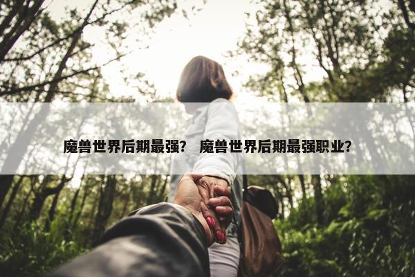 魔兽世界后期最强？ 魔兽世界后期最强职业？