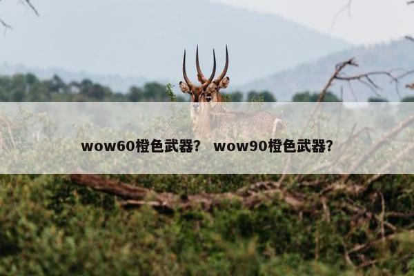 wow60橙色武器？ wow90橙色武器？
