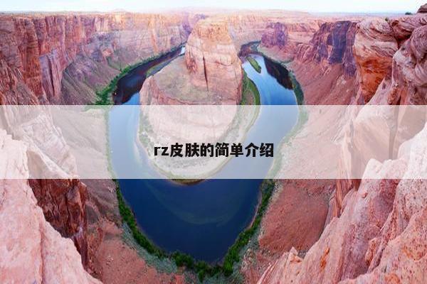rz皮肤的简单介绍