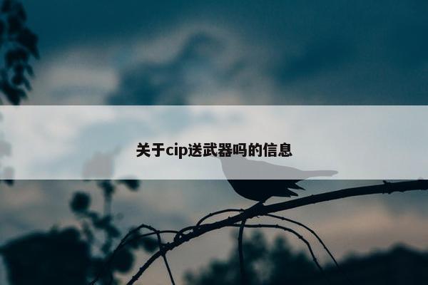 关于cip送武器吗的信息