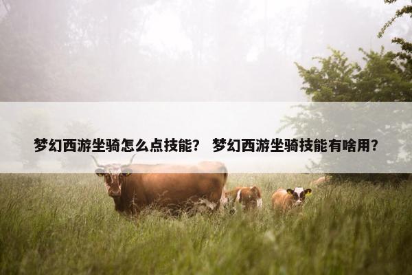 梦幻西游坐骑怎么点技能？ 梦幻西游坐骑技能有啥用？