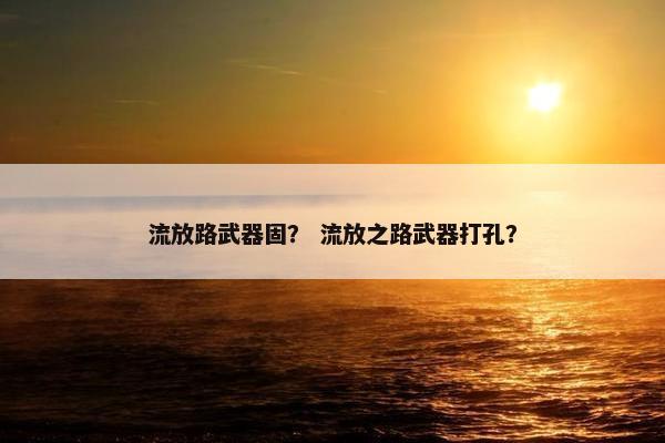 流放路武器固？ 流放之路武器打孔？