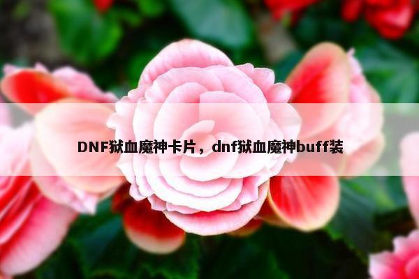 DNF狱血魔神卡片，dnf狱血魔神buff装