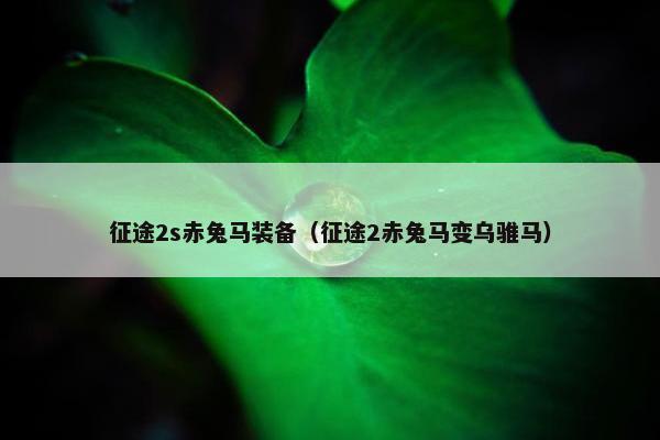 征途2s赤兔马装备（征途2赤兔马变乌骓马）