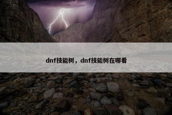 dnf技能树，dnf技能树在哪看