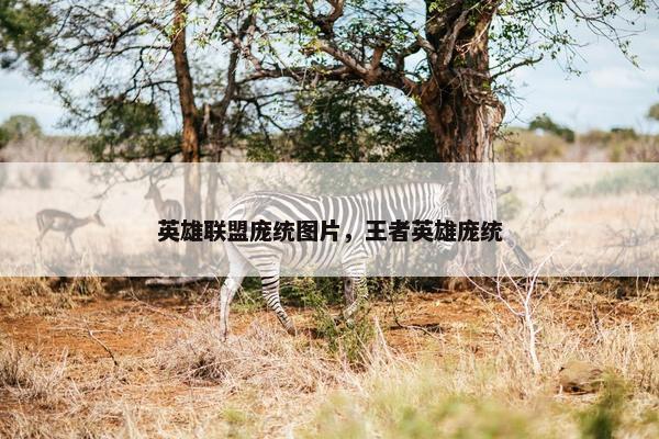 英雄联盟庞统图片，王者英雄庞统