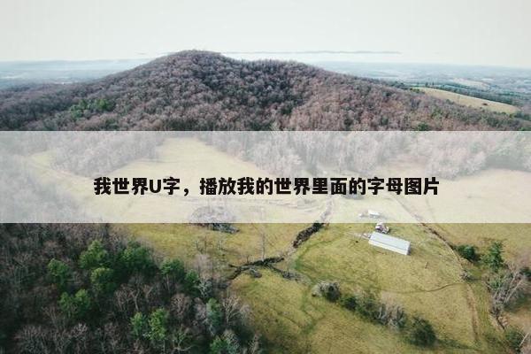 我世界U字，播放我的世界里面的字母图片