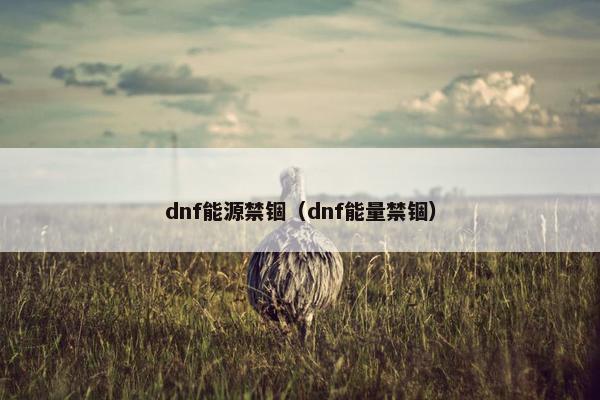 dnf能源禁锢（dnf能量禁锢）