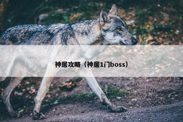 神居攻略（神居1门boss）