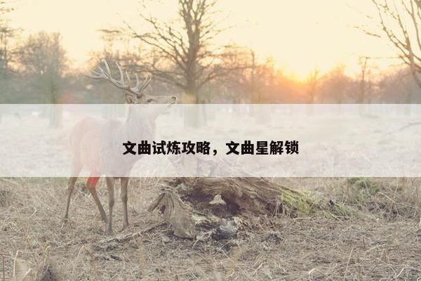 文曲试炼攻略，文曲星解锁