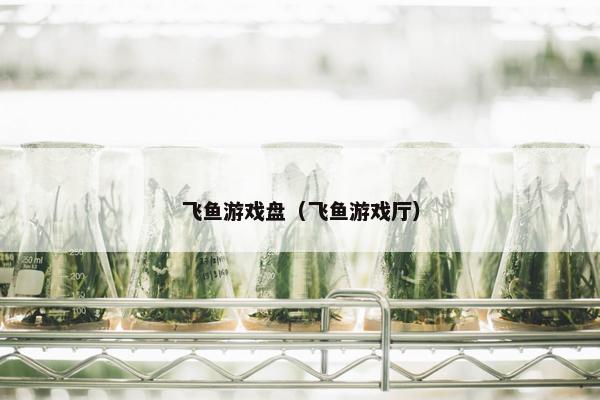 飞鱼游戏盘（飞鱼游戏厅）