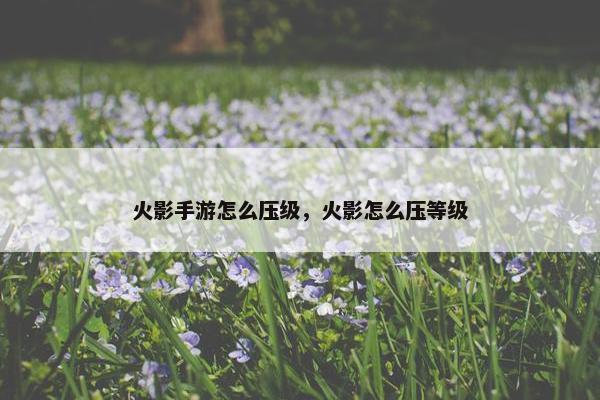 火影手游怎么压级，火影怎么压等级