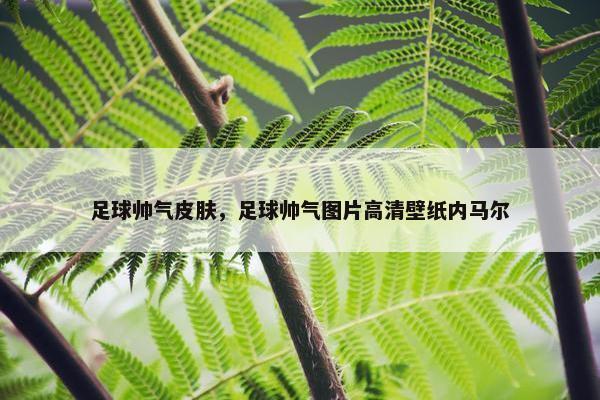 足球帅气皮肤，足球帅气图片高清壁纸内马尔