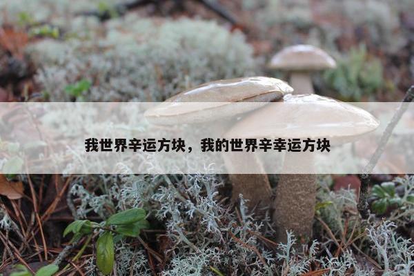我世界辛运方块，我的世界辛幸运方块