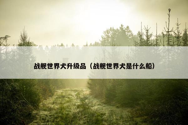 战舰世界犬升级品（战舰世界犬是什么船）