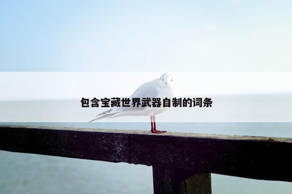 包含宝藏世界武器自制的词条