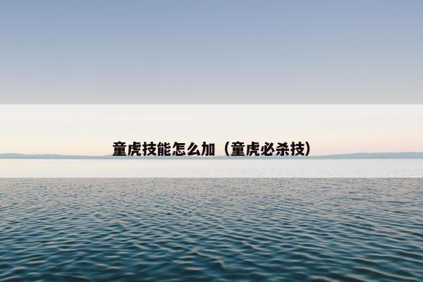 童虎技能怎么加（童虎必杀技）