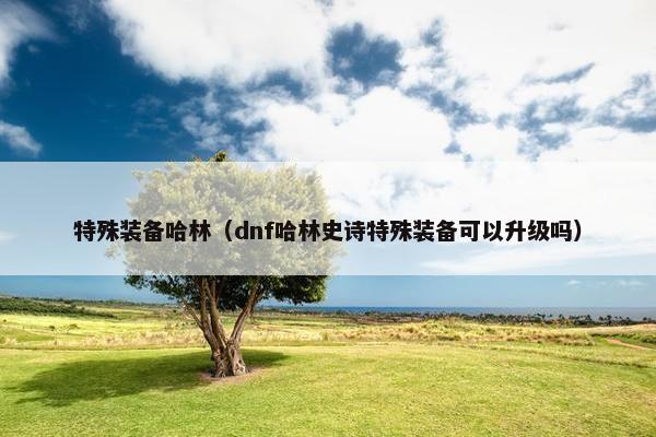 特殊装备哈林（dnf哈林史诗特殊装备可以升级吗）