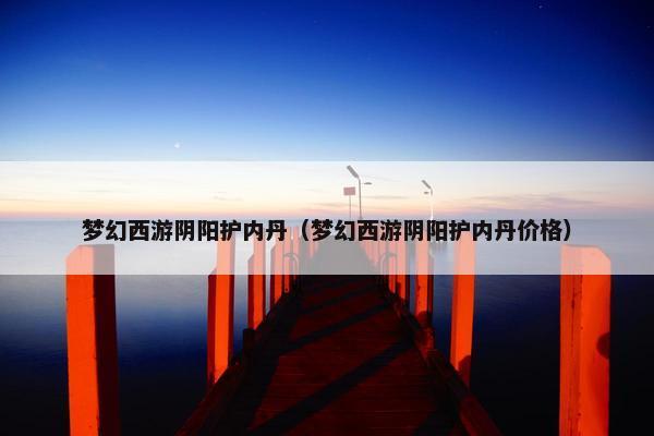 梦幻西游阴阳护内丹（梦幻西游阴阳护内丹价格）