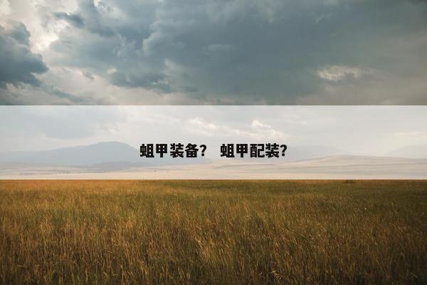 蛆甲装备？ 蛆甲配装？