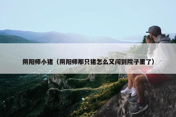 阴阳师小猪（阴阳师那只猪怎么又闯到院子里了）