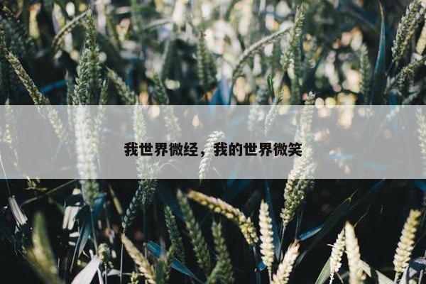 我世界微经，我的世界微笑