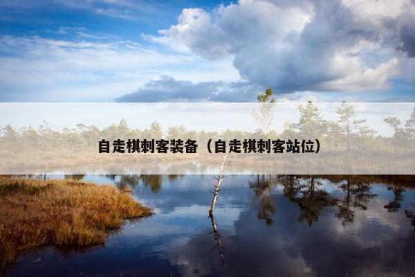 自走棋刺客装备（自走棋刺客站位）