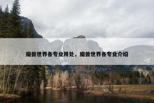 魔兽世界各专业用处，魔兽世界各专业介绍