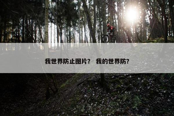 我世界防止图片？ 我的世界防？
