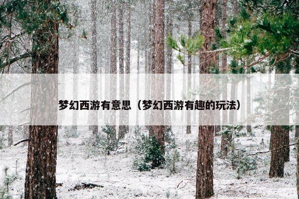 梦幻西游有意思（梦幻西游有趣的玩法）
