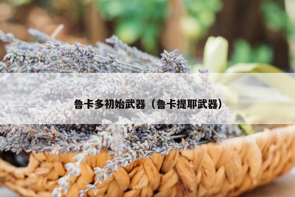 鲁卡多初始武器（鲁卡提耶武器）