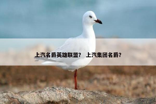 上汽名爵英雄联盟？ 上汽集团名爵？