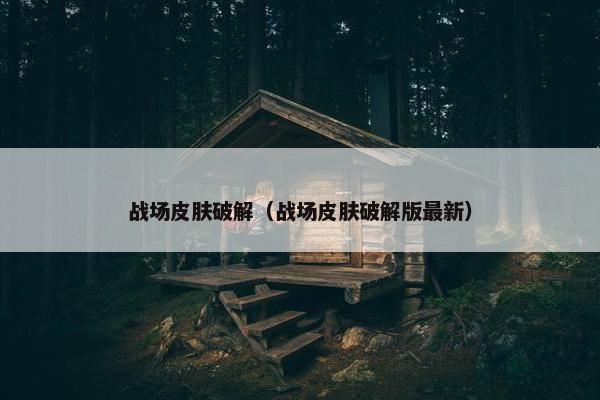 战场皮肤破解（战场皮肤破解版最新）