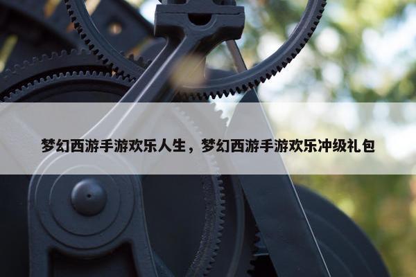 梦幻西游手游欢乐人生，梦幻西游手游欢乐冲级礼包