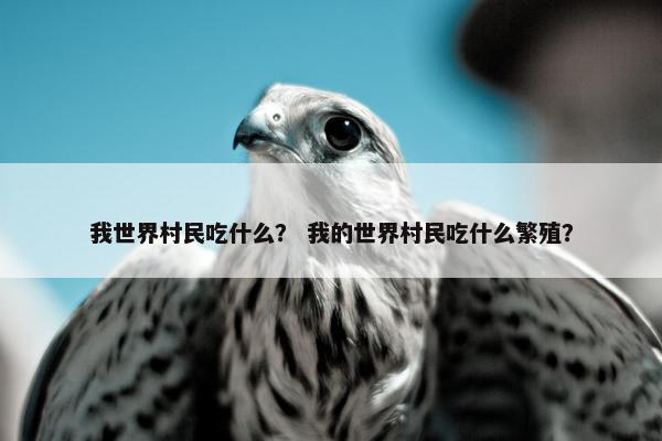 我世界村民吃什么？ 我的世界村民吃什么繁殖？