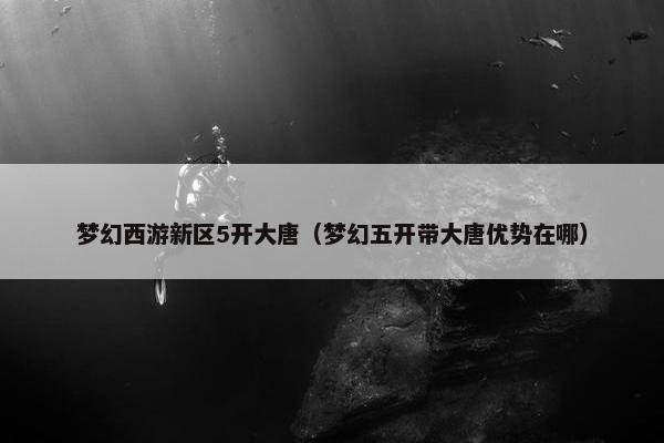梦幻西游新区5开大唐（梦幻五开带大唐优势在哪）