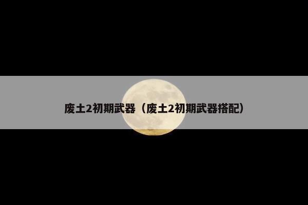 废土2初期武器（废土2初期武器搭配）