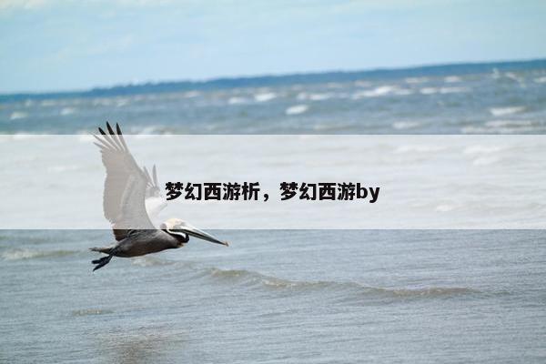 梦幻西游析，梦幻西游by