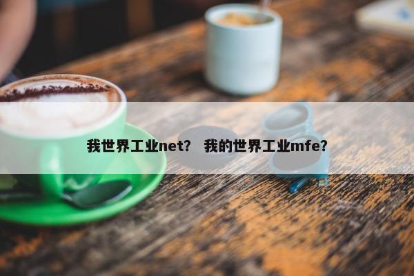 我世界工业net？ 我的世界工业mfe？