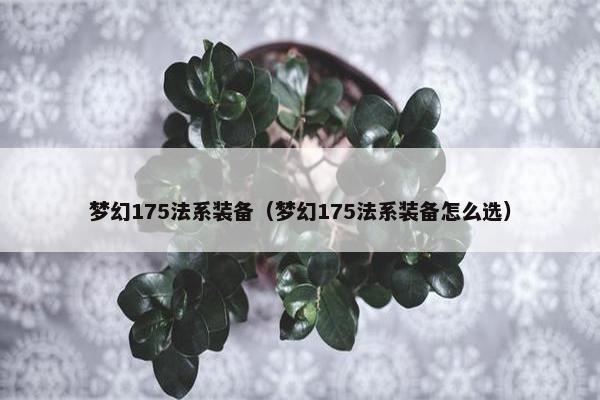 梦幻175法系装备（梦幻175法系装备怎么选）