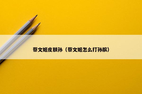 蔡文姬皮肤孙（蔡文姬怎么打孙膑）