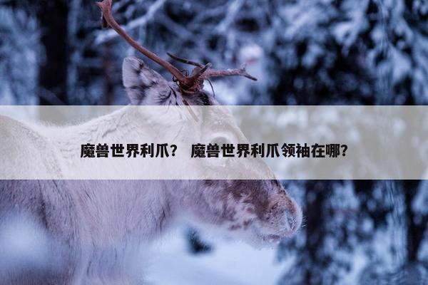 魔兽世界利爪？ 魔兽世界利爪领袖在哪？
